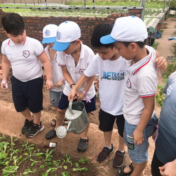 0c6ae0cef501075f5e10