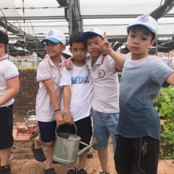 3423db87ce483c166559