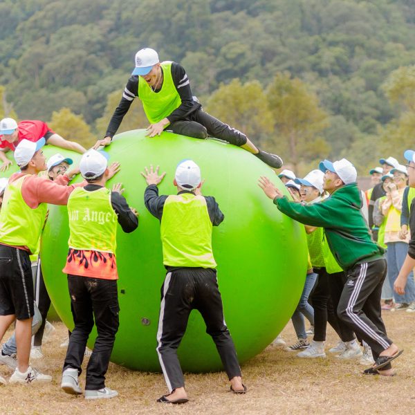 d4c019393ef6faa8a3e7